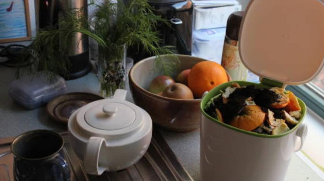 7 Sustainable Eco-Friendly Kitchen Essentials for Everyday Use