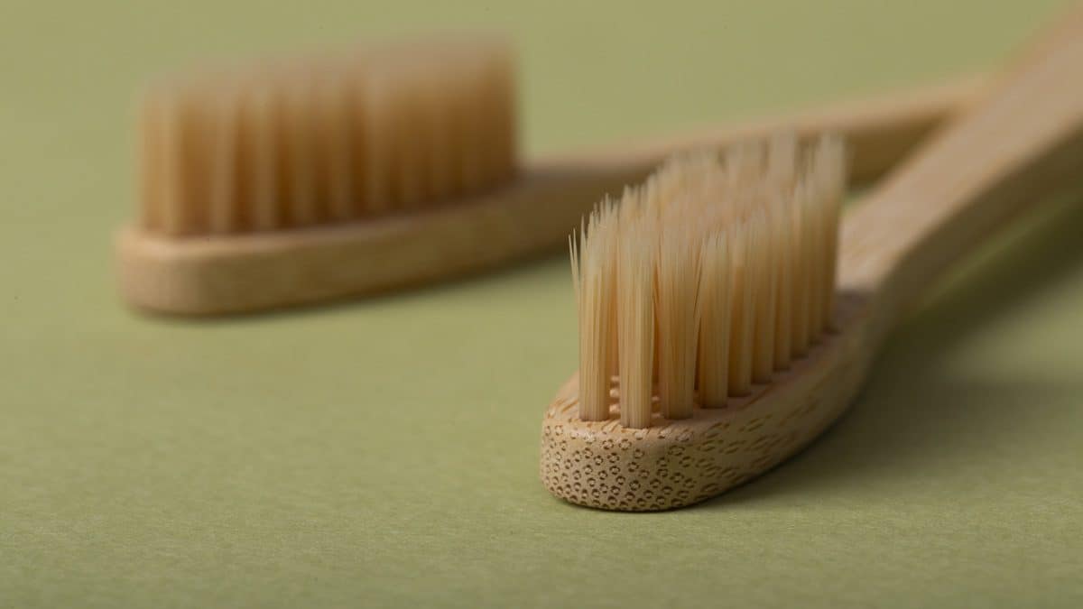 Bamboo Toothbrush