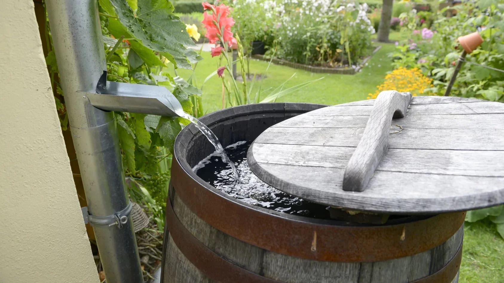 Wooden barrel collecting rainwater from cut out in downpipe