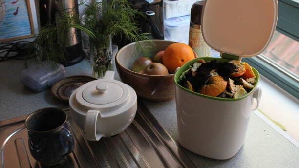 Indoor composter filled with food scraps on kitchen counter next to fruit bowl, teapot, cup, toaster and other kitchen accessories