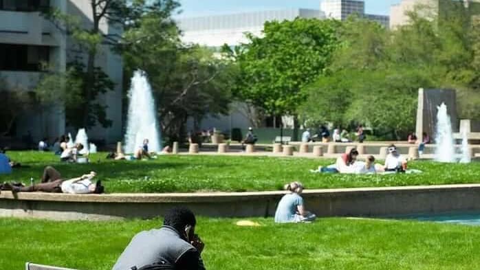 people-relaxing-in-a-city-green-space