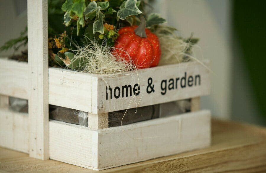 Crate with veges in it