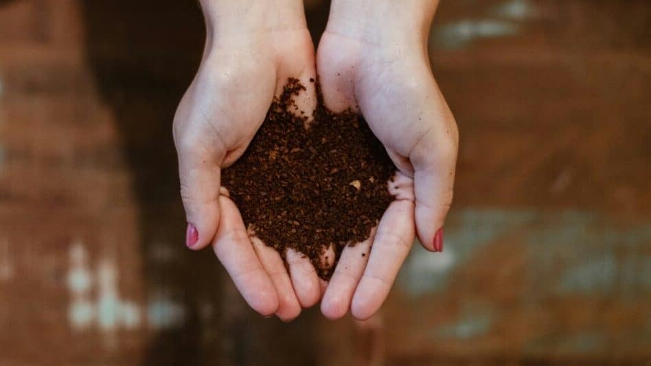 womans hands holding compost
