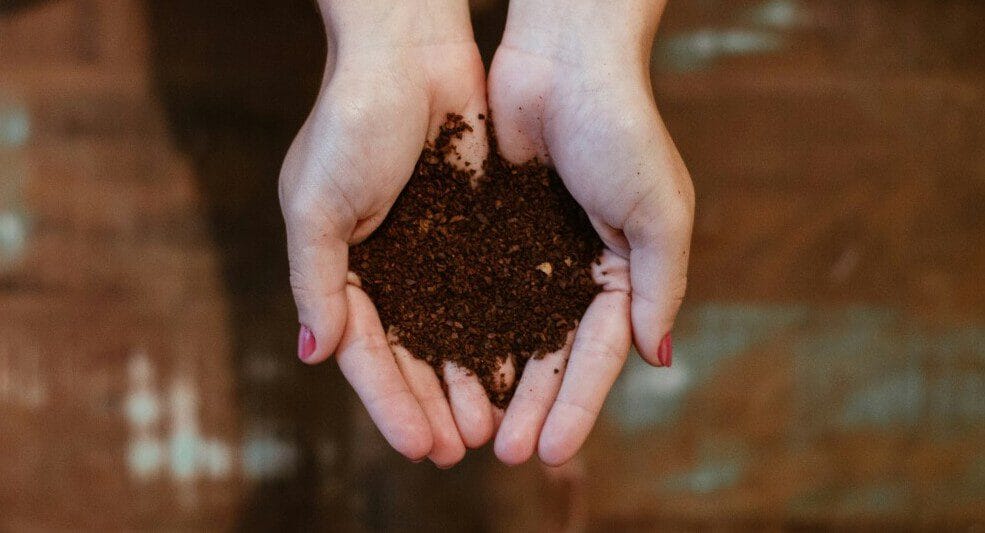 Womans hands holding compost